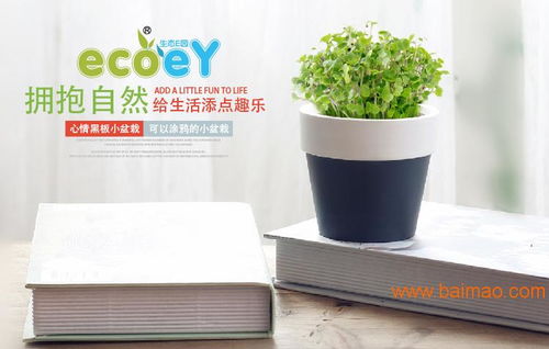 植物與心情對話 體驗ecoey迷你陶瓷花盆的文創美學